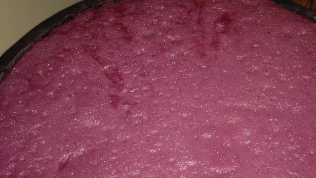 Kvašení hroznů ve vinařství Bodega Contador.